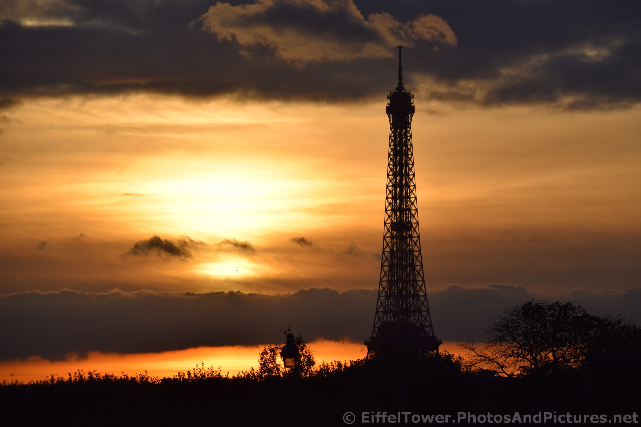 Eiffel Tower seen from Tuileries Gardens Beautiful Sunset at Dusk.jpg