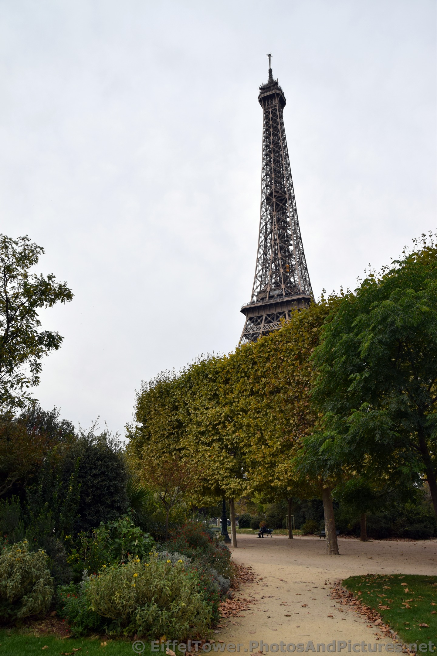 Eiffel Tower Rises over Trees of Champ de Mars.jpg