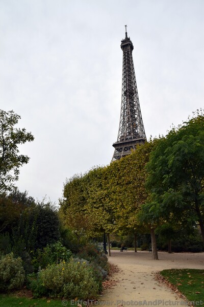 Eiffel Tower Rises over Trees of Champ de Mars.jpg