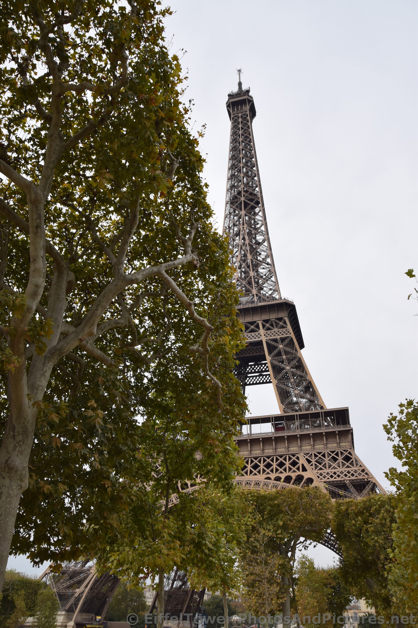Eiffel Tower seen from Avenue Anatole France.jpg