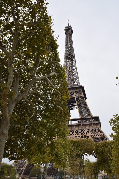 Eiffel Tower seen from Avenue Anatole France.jpg
