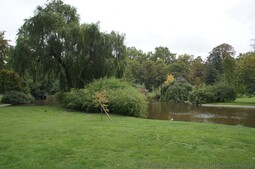 Lush Green Grass & Trees & Pond next to Eiffel Tower.jpg