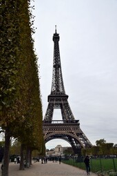 Parisan checking phone with Eiffel Tower looming behind.jpg