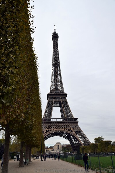Parisan checking phone with Eiffel Tower looming behind.jpg