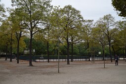 Basketball Court at Champ de Mars.jpg